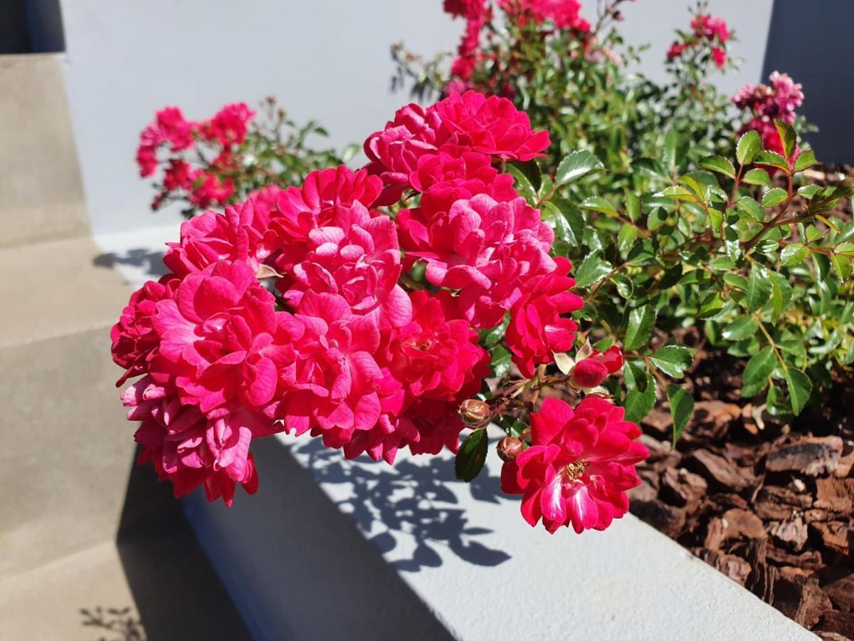 Apartmán Casa Atlantico Dachterrassengeschoss Ribeira Brava Exteriér fotografie