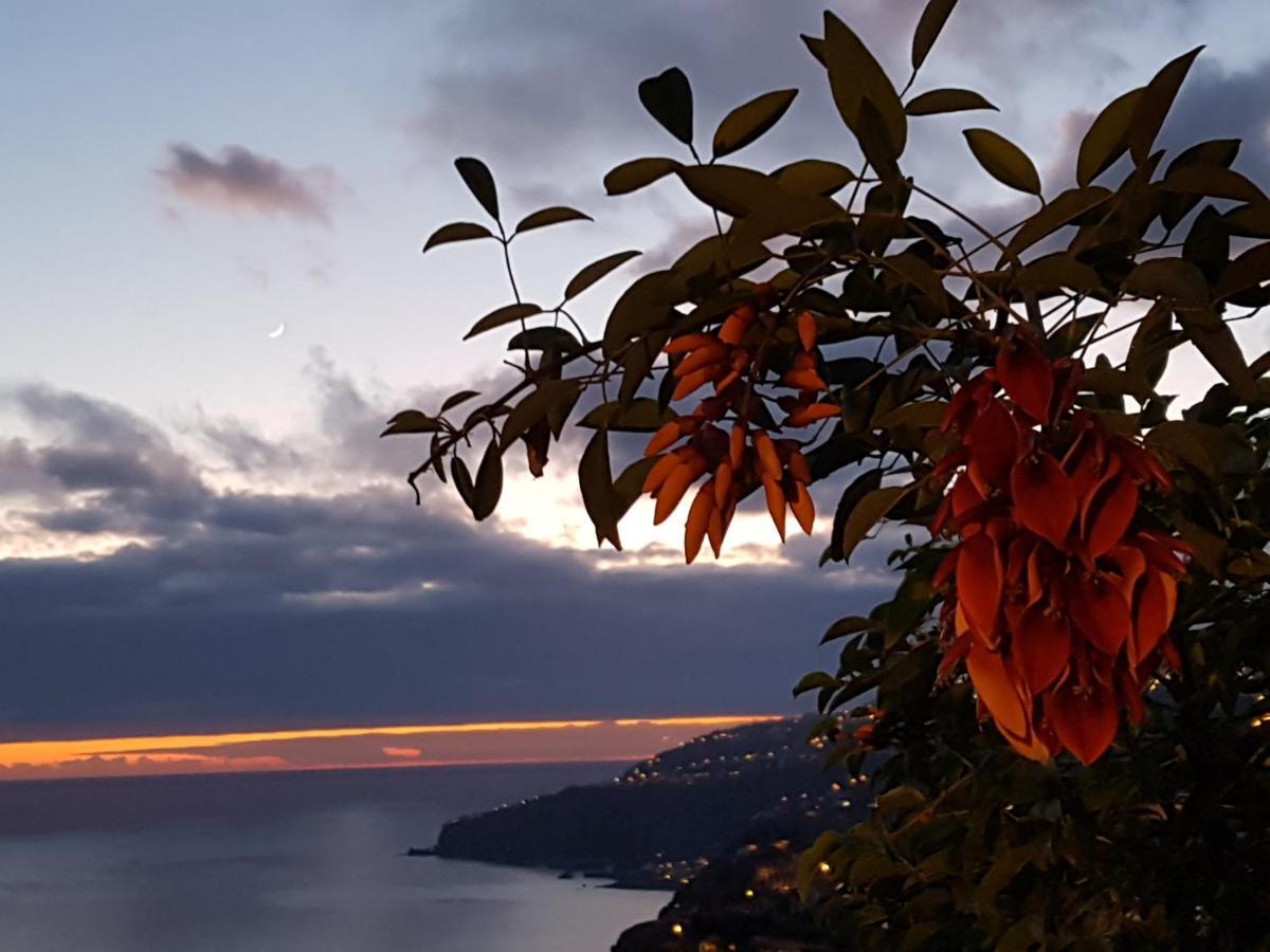 Apartmán Casa Atlantico Dachterrassengeschoss Ribeira Brava Exteriér fotografie